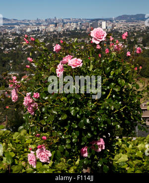 Blick auf die San Francisco und Oakland aus Berkeley Hills Stockfoto