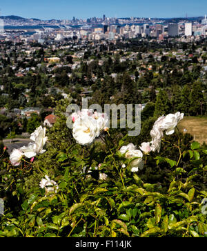 Blick auf die San Francisco und Oakland aus Berkeley Hills Stockfoto