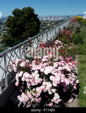 Blick auf die San Francisco und Oakland aus Berkeley Hills Stockfoto