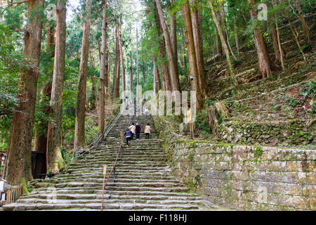 Japan, Nachikatsuura. Die breite Steintreppe mit zentralen Holz- Schiene vor Straße von der Hiro Schrein und Nachi Wasserfall. Menschen klettern gehen. Stockfoto