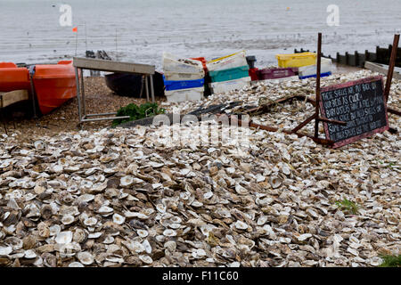 Austernschale am Strand von Whitstable Stockfoto