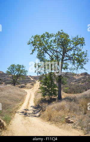 Schmutz Wanderwege führen in die trockenen trockenen Wildnis des südlichen Kaliforniens Hügel bei Dürre. Stockfoto
