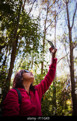 Gemischte Rassen Frau fotografieren Bäume im Wald Stockfoto