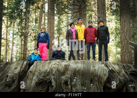 Familie steht auf enorme Baumstumpf im Wald Stockfoto