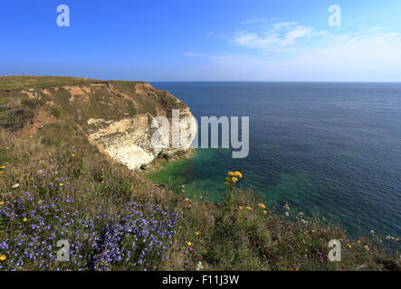 Kreidefelsen Sie bei Flamborough Head, East Yorkshire, England, UK. Stockfoto