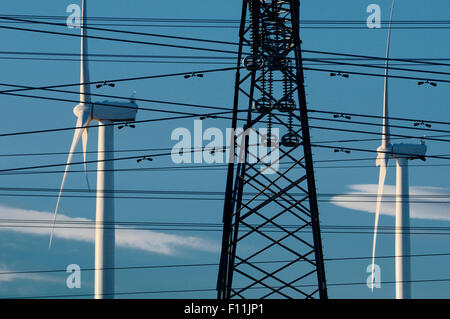 Windkraftanlagen und Stromleitungen unter blauem Himmel Stockfoto