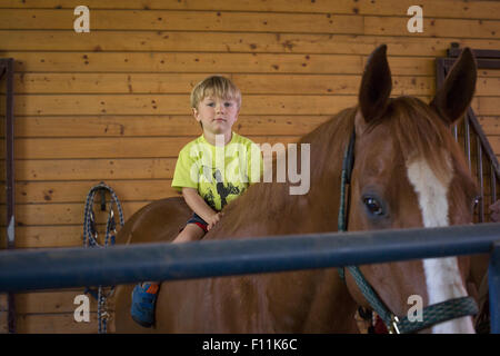 Kaukasische Junge sitzt auf Pferd im Stall Stockfoto