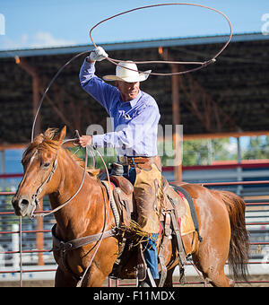 Ältere kaukasischen Cowboy Lasso werfen, beim rodeo Stockfoto