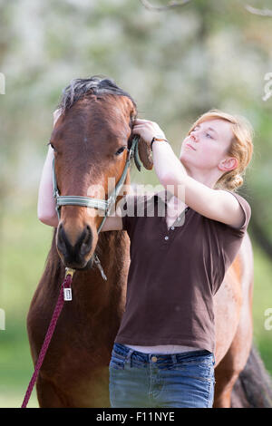 American Quarter Horse Frau weglegen Halfter Yooung Pferd Sequenz 4 5 Stockfoto