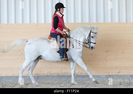 German Riding Pony Reiter weiße Pony Durchführung uneins Galopp Stockfoto