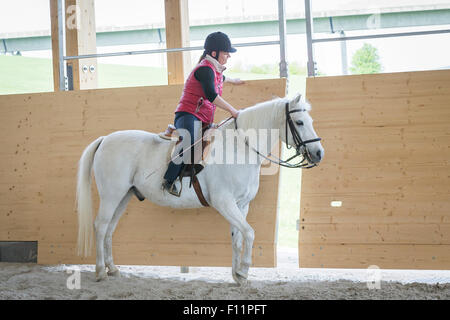 German Riding Pony Reiter White pony Openning die Tür Reithalle Stockfoto