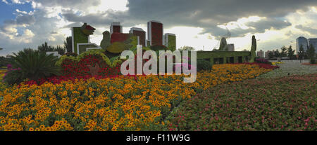 Peking, China. 25. August 2015. Foto aufgenommen am 25. August 2015 zeigt eine Taube-förmigen Blumenbeet in Peking, Hauptstadt von China. © Li Xin/Xinhua/Alamy Live-Nachrichten Stockfoto