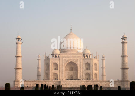 Agra, Uttar Pradesh, Indien.  Taj Mahal in rosa Licht der Morgendämmerung. Stockfoto