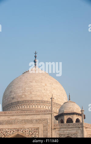 Agra, Uttar Pradesh, Indien. Das Taj Mahal; Hauptkuppel und sekundäre Kuppel mit Details der Halbedelstein inlay über die wichtigsten Bogen. Stockfoto