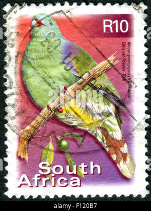 Südafrika - CIRCA 2000: Briefmarke gedruckt in Südafrika, zeigt afrikanische grüne Taube (Treron Calvus), circa 2000 Stockfoto
