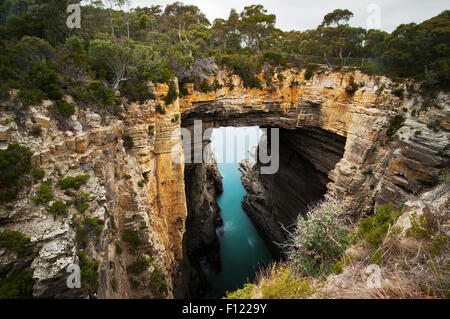 Beeindruckende felsige Brücke des Tasman Arch im Tasman National Park. Stockfoto