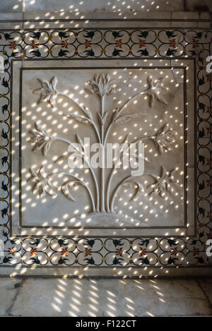 Agra, Uttar Pradesh, Indien. Das Taj Mahal; Detail der floralen Schnitzwerk auf einem Bas Relief Marmor Panel in Dfappled Licht, das durch ein Gitter-Bildschirm. Stockfoto