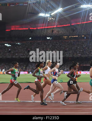 Peking, China. 25. August 2015. Athleten kämpfen, während die Frauen 1500m-Finale bei den Weltmeisterschaften 2015 in das "Vogelnest" Nationalstadion in Peking, Hauptstadt von China, 25. August 2015. © Wang Haofei/Xinhua/Alamy Live-Nachrichten Stockfoto