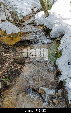 Kleiner Bach im Gebirge Winterwald Stockfoto
