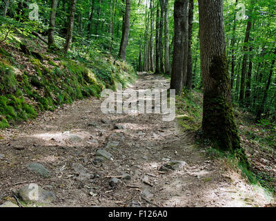 Weg von der Schlucht des Flusses Rouvre unterhalb der spektakulären Roche d'Oëtre Abgrund in Norman Schweiz, Normandie, Frankreich Stockfoto