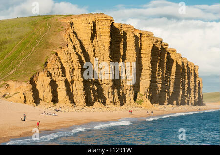 Die Klippen der "Jurassic Coast" im Osten von West Bay in der Nähe der Stadt Bridport, Dorset, England, UK. Stockfoto