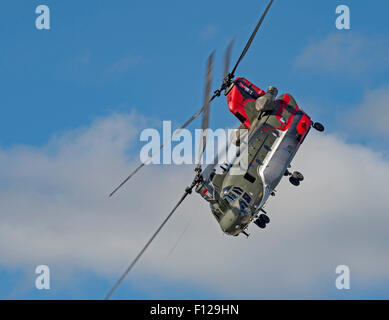 RAF Chinook Display Team Stockfoto