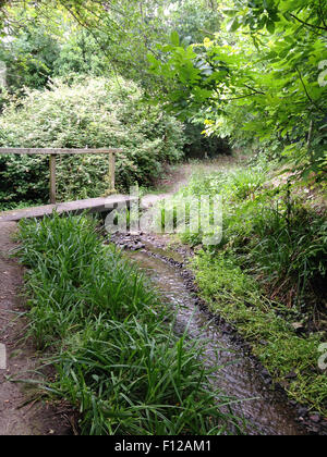 Bewaldete Land Wanderweg Stockfoto