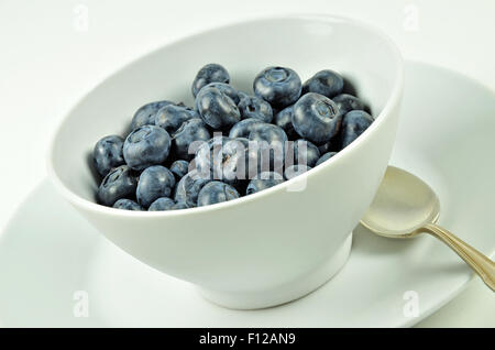 Nahaufnahme von einer weißen Schüssel mit Heidelbeeren auf einem weißen Hintergrund, Makro, Detail, Horizontal, schräg Stockfoto