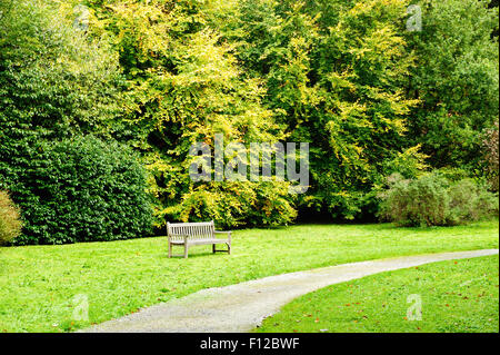 Wunderschöner Herbsttag im Park mit kleinen Fußweg und Holzbank Stockfoto