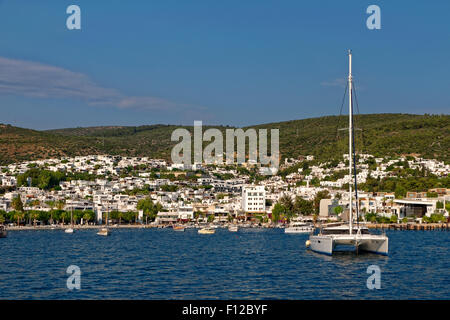 Katamaran und Yacht Verankerungen in der East Bay in Bodrum Stadt, Provinz Muğla, Türkei Stockfoto