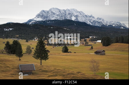 Alpine Rasen mit Karwendelgebirge, Alpen, Deutschland Stockfoto