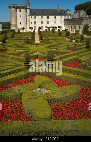 Liebe Gärten am Château de Villandry, Loiretal, Frankreich Stockfoto