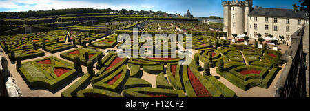 Liebe Gärten am Château de Villandry, Loiretal, Frankreich Stockfoto