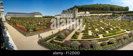 Gärten in Château de Villandry, Loiretal, Frankreich Stockfoto