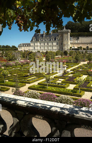 Gärten in Château de Villandry, Loiretal, Frankreich Stockfoto