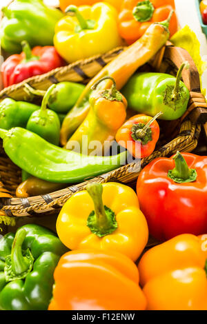 Auswahl an frischen Bio Paprika auf dem Tisch. Stockfoto