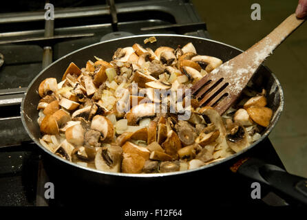 Roadkill Essen, Dachs Chasseur. Stockfoto