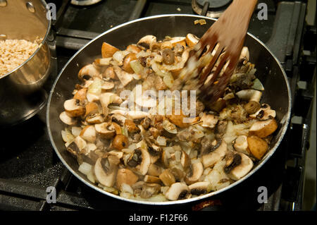 Roadkill Essen, Dachs Chasseur. Stockfoto