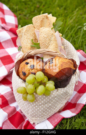Picknick-Korb Stockfoto