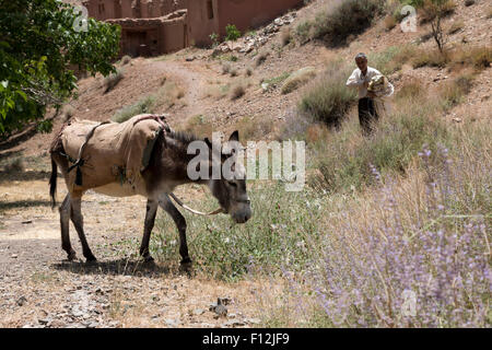Abyanef Dorf in der Nähe von Yazd in der Wüste von Dasht-e Kavir Stockfoto
