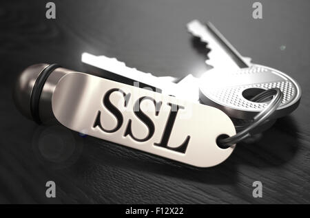 SSL-Konzept. Schlüssel mit Schlüsselring. Stockfoto