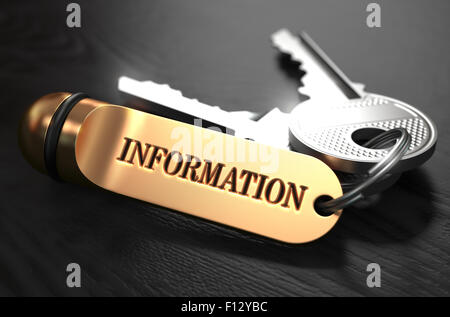 Informationskonzept. Tasten mit goldenen Schlüsselanhänger. Stockfoto