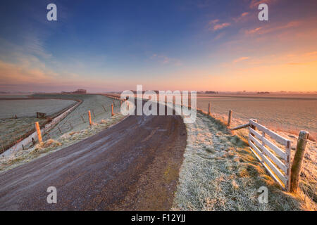 Typische holländische Landschaft an einem frostigen Morgen bei Sonnenaufgang. Dies ist Teil der westfriesischen kreisförmigen Deich, ein Deich System, b Stockfoto