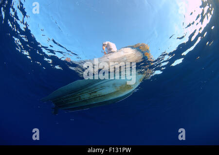 Rotes Meer, Ägypten. 15. Oktober 2014. Boden des Bootes unter Wasser, Rotes Meer, Ägypten, Afrika © Andrey Nekrassow/ZUMA Wire/ZUMAPRESS.com/Alamy Live-Nachrichten Stockfoto