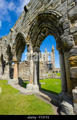 Ruinen der St. Andrews Kathedrale St Andrews, Fife, Schottland Stockfoto