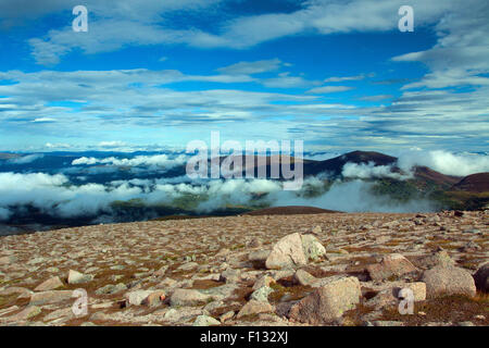 Glenmore Forest Park von Cairn Gorm, Cairngorm National Park, Badenoch & Speyside Stockfoto