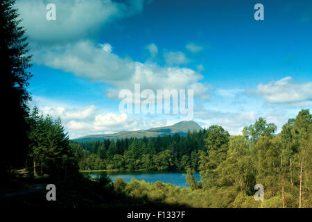 Ben Lomond und Loch Ard von The Narrows, Loch Ard Wald, Loch Lomond und Trossachs National Park, Stirlingshire Stockfoto