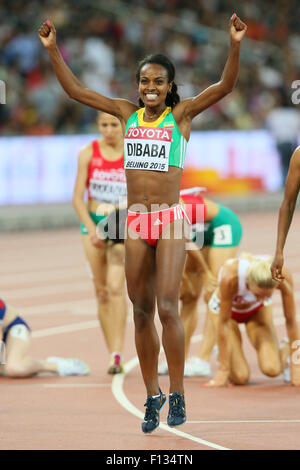 Peking, China. 25. August 2015. Genzebe Dibaba (ETH) Leichtathletik: 15. IAAF World Championships in Athletics Beijing 2015 Frauen 1500m-Finale im Beijing National Stadium in Peking, China. Bildnachweis: YUTAKA/AFLO SPORT/Alamy Live-Nachrichten Stockfoto