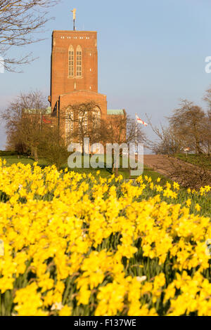 Ein Low down-Ansicht von Guildford Kathedrale im Frühjahr Sonnenlicht durch ein Feld von Narzissen Stockfoto