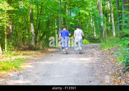 Zwei alte Womans nordic walking durch Waldweg. Sommer Wald mit zwei Damen, die zu Fuß. Stockfoto